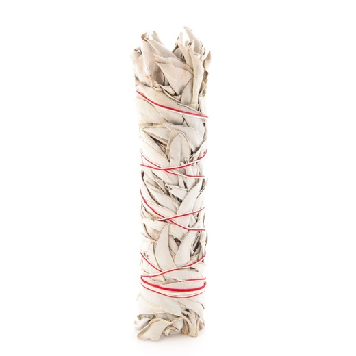 Berk veliki snop bijele kadulje, 22cm 2