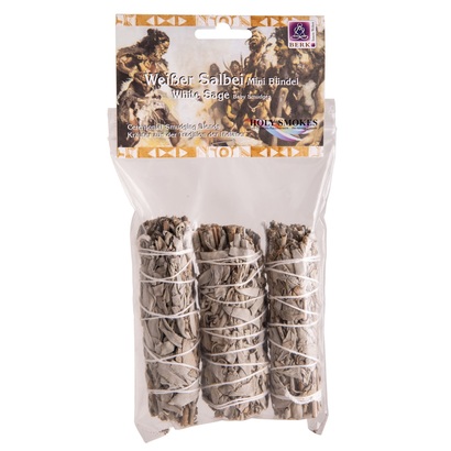 Berk snop bijele kadulje mini 10 cm (3 kom.)