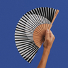 A fan of lepeza mini minimal melody 1