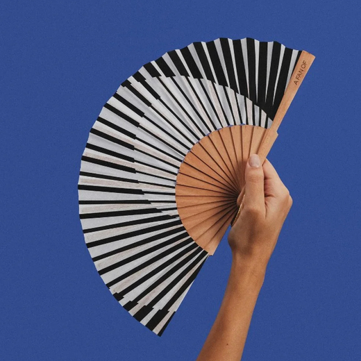 A fan of lepeza mini minimal melody 1