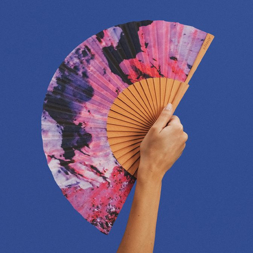 A fan of lepeza standard terra 1