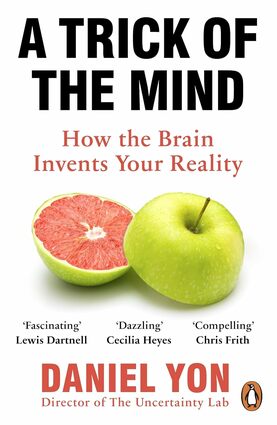 A trick of the mind