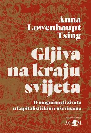 Gljiva na kraju svijeta