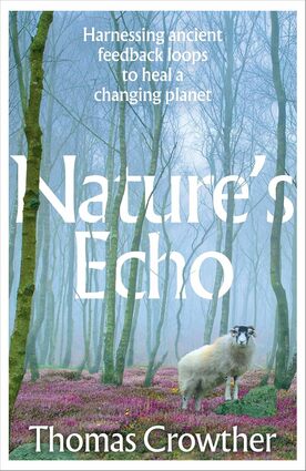 Nature's echo