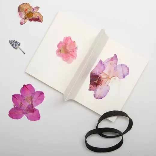 Kikkerland field flower press 1webp