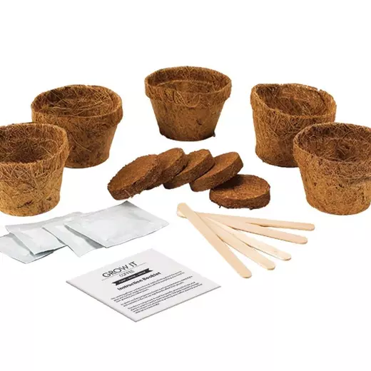 Grow it coffee 3