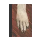 Nešto prekrasno