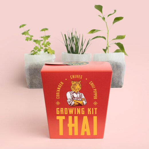 Resetea set za uzgoj sobne biljke thai 2