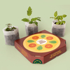 Resetea set za uzgoj sobne biljke pizza lovers 2