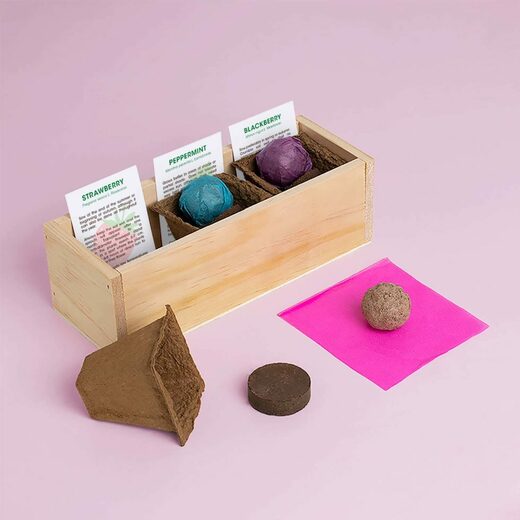 Resetea set za uzgoj sobne biljke desserts 1