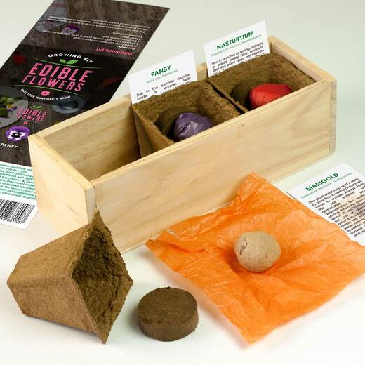 Resetea set za uzgoj sobne biljke edible flowers 1