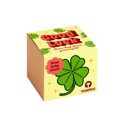 Resetea set za uzgoj sobne biljke good luck