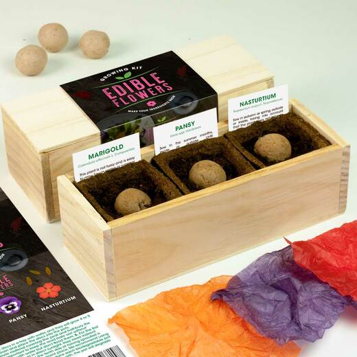 Resetea set za uzgoj sobne biljke edible flowers 2