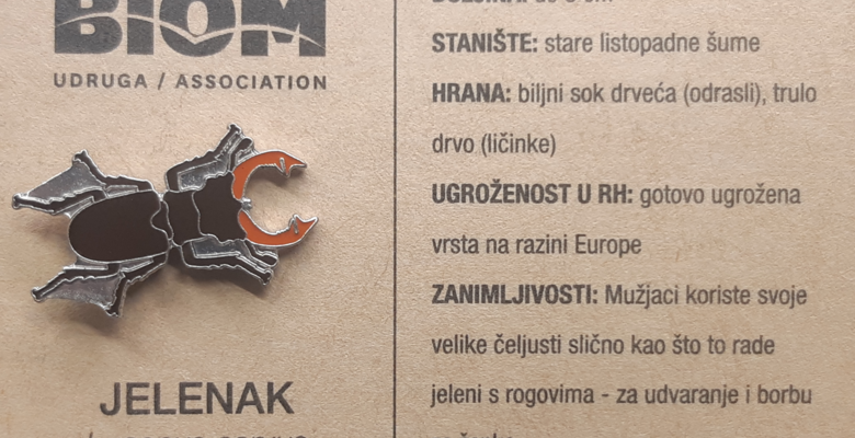 Bedž jelenak2