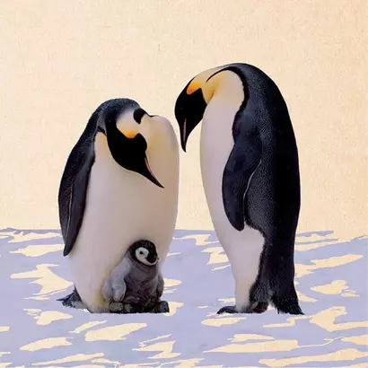 Zintenz čestitka tina penguin