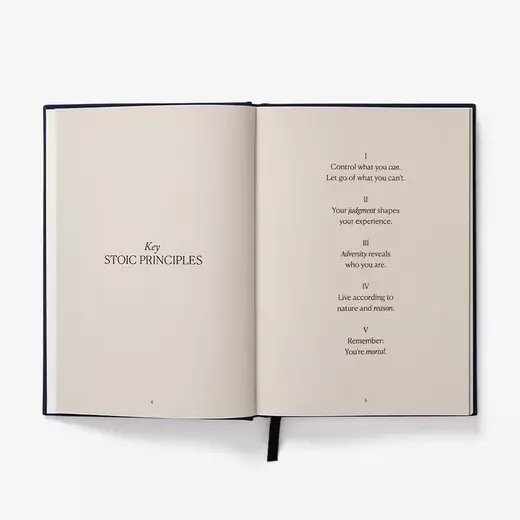 Intelligent change the stoic journal3