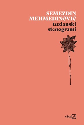 Tuzlanski stenogrami