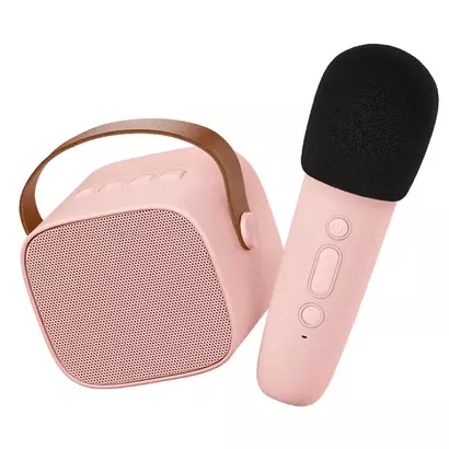Lalarma karaoke set rozi