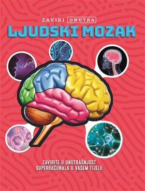 Ljudski mozak zaviri unutra