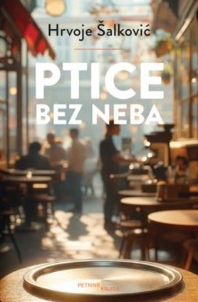 Ptice bez neba