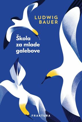 Škola za mlade galebove