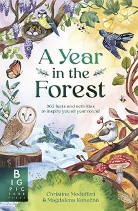 A year in the forest