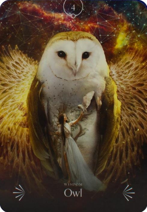 Japanese Haiku Note Cards Owl