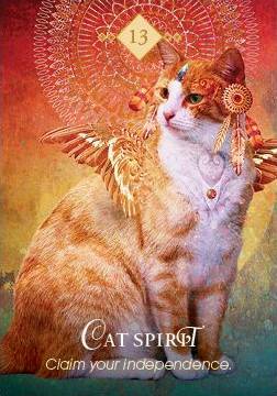 The Spirit Animal Oracle Cat