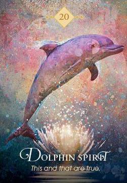 The Spirit Animal Oracle Dolphin