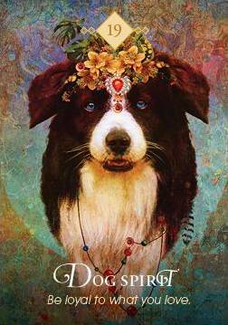 The Spirit Animal Oracle Dog