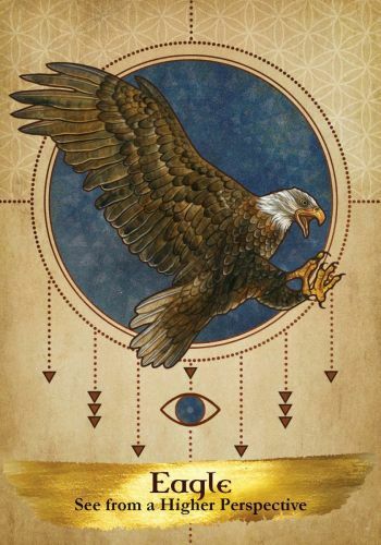 Angels and Ancestors Oracle Cards Eagle