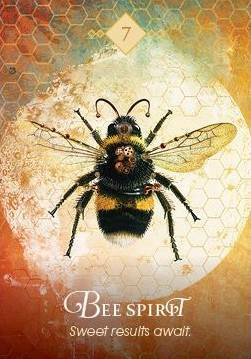 The Spirit Animal Oracle Bee