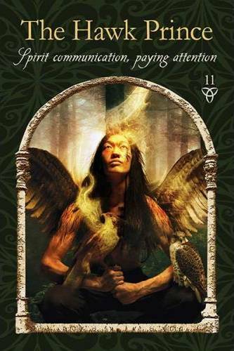 Wisdom of the Hidden Realms Oracle Cards The Hawk Prince